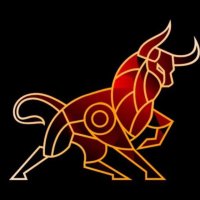 Bullsama