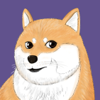 Doge Moon Coin