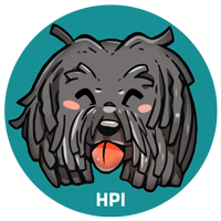 Hungarian Puli Inu
