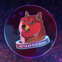 Meta Space Doge