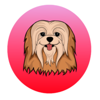 Apsocoin