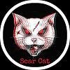 Scar Cat BSC