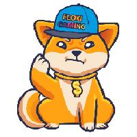 Floki Gaming