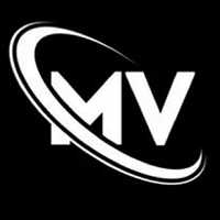 MetaVerse