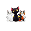 Stray Katz