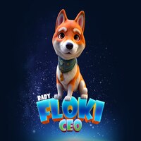 Baby Floki CEO