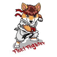 FLOKI FIGHTER