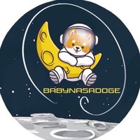 BabyNasaDoge