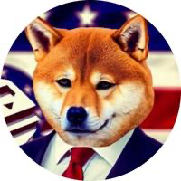 SHIBA24
