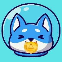 Not Shiba
