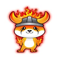 BURN FLOKI