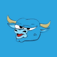 BULL RUN