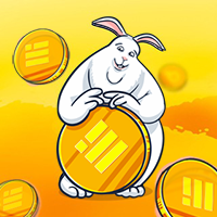 BunnyBUSD