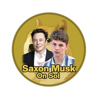 SAXON MUSK ON SOL