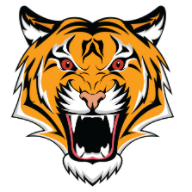 Tiger Finance
