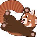 Raccoon Oatmeal