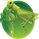 Greem toy