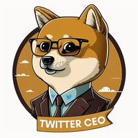 Twitter CEO