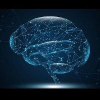 Artificial Intelligence Protocol