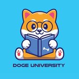 Doge University
