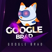 Google Brad