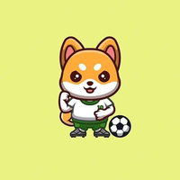 Soccer Shiba