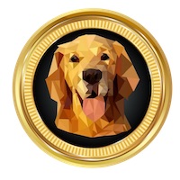 BUSD Token