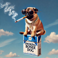 Smoking boner dog