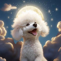 MoonJup