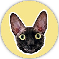 PIXEL The Cat