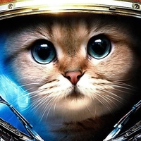 KittElon