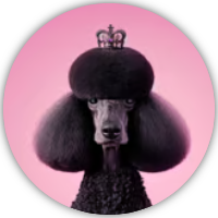 Poodlana