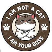 Catboss