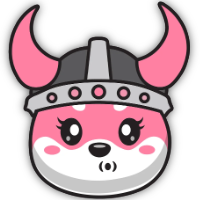Flokita Coin
