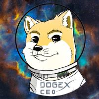 DOGE x CEO