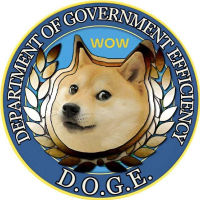 Department Of Government Efficiency