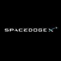SpaceDOGEX