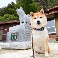 Ishifatherofshib