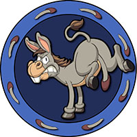 hung like a donkey