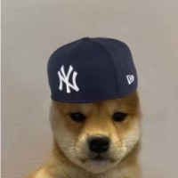 DogWIFNoBrim