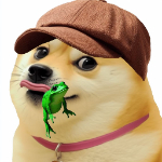 DOGE ONLY FOR YOU