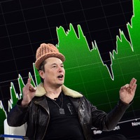 Elon Wif Hat