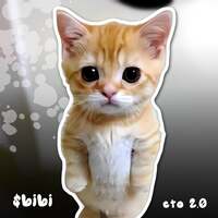 BIBI CTO2