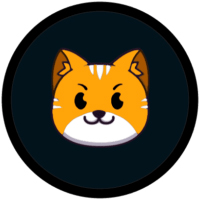 CATS ROCKETS
