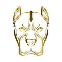 PITBULL FINANCE