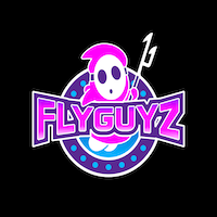 FlyGuyz