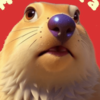 Marmota