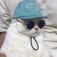 catwifcaptkn
