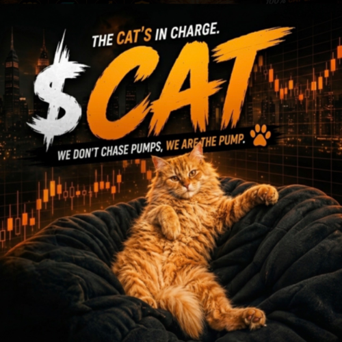 the CAT meme