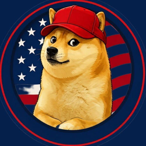 The Doge Administration